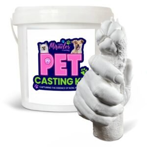 How Does Casting Kit Help Families With Pets To Preserve Memories?