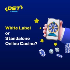 White Label vs. Standalone Casino: Choosing the Right Path with DSTGAMING