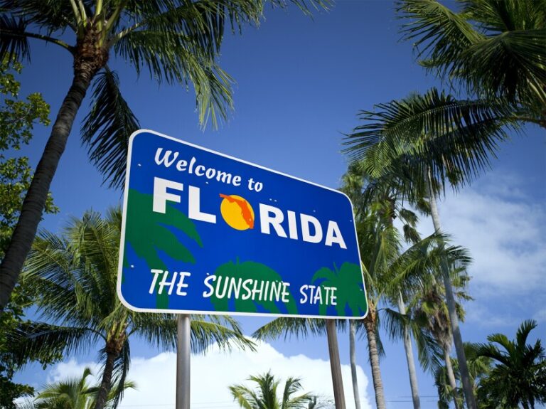What Are The Best Things To Do In Your Florida Holidays?