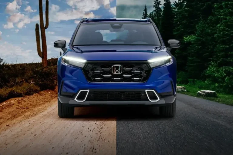 Lesbian Car Culture: Trends and Insights