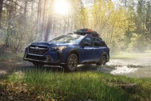 The “Lesbian Car” Stereotype: Origins and Reality