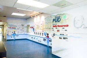 What Services Does Skagit PUD Provide?