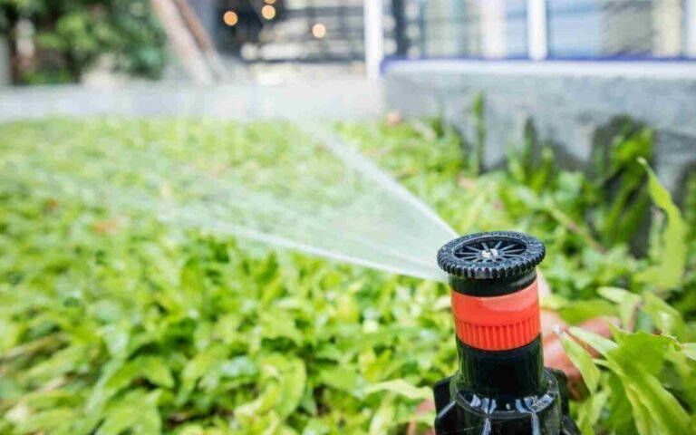 Maximizing Your Landscape’s Potential With The Help Of Irrigation System Experts
