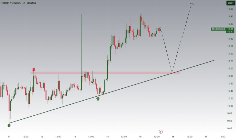 TrumpSol USDT – Legit or a Risky Investment?