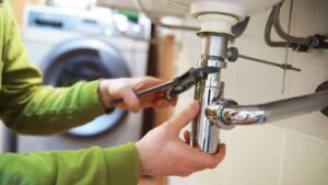 Phaelariax Vylorn: A Name Lost in Time