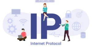 Unpacking the Mystery of 185.63.253.2001