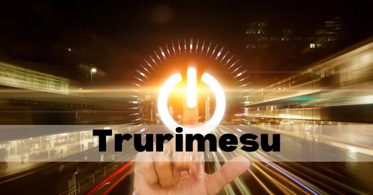The Art of Trurimesu: Its Meaning and Practice
