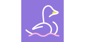 A Deep Dive into the Features of the Nantasia App