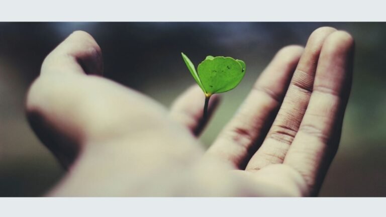 Exploring the Valuable Resources of Tatasec