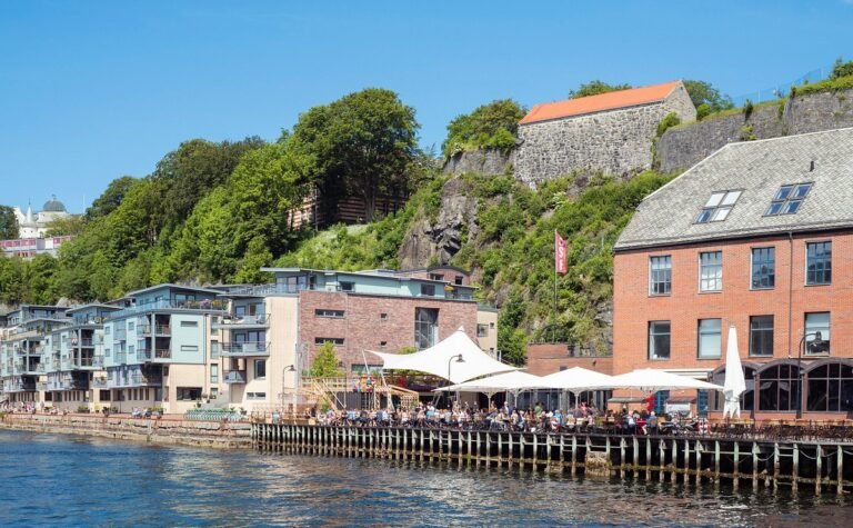 Best Restaurants Near USF: A Food Lover’s Guide