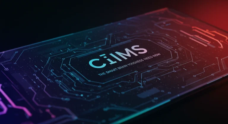 CÑIMS: Concept, Potential, and Interpretations