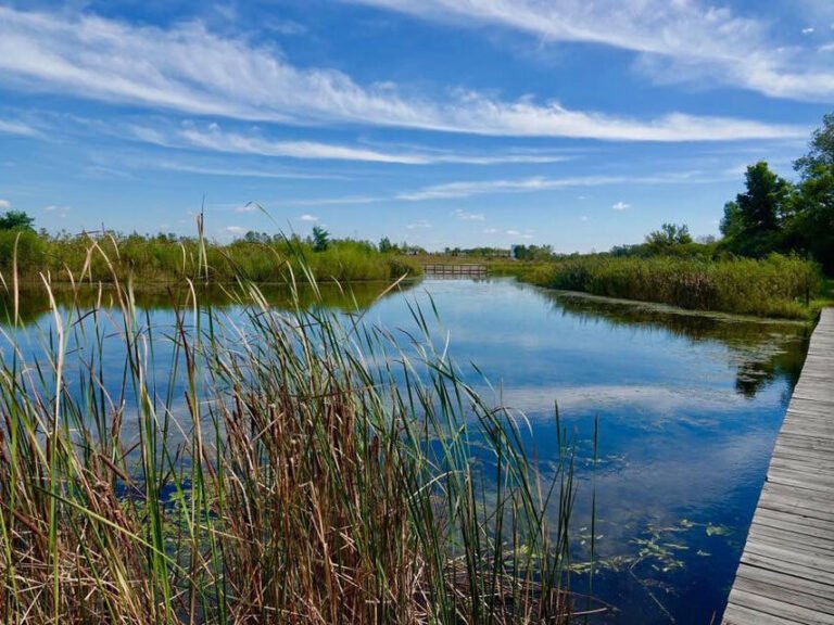 Exploring the Beauty and History of Izaak Walton Park
