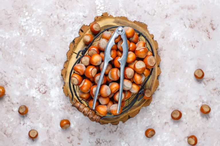 Žižole: A Forgotten Mediterranean Treasure