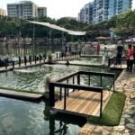 Coastal Cabana Pasir Ris A Haven