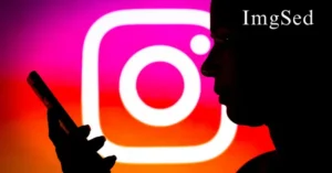 Imgsed: Exploring the Emerging Concept of Digital Imaging