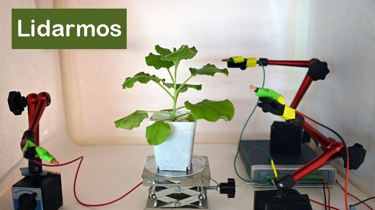 Lidarmos: Concept, Technology, and Future Potential