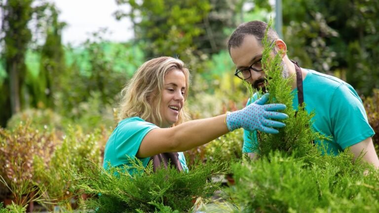 Discover Lyposingrass: What It Is and How It Works