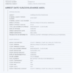 Katie Lewis Dallas Attorney DUI