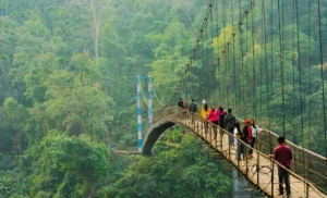 Cherrapunjee Climate Guide: When to Plan Your Perfect Getaway