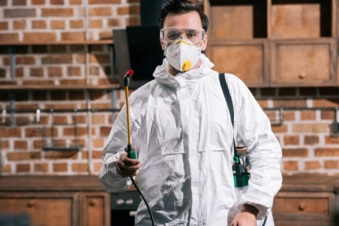 What Homebuyers Should Know About Pest Inspections