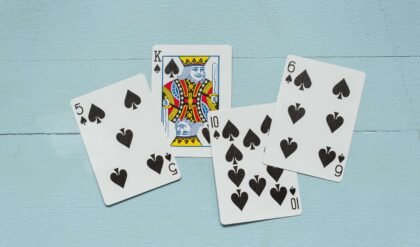 Master of the Underbid: Defensive Strategies in the Spades Card Game
