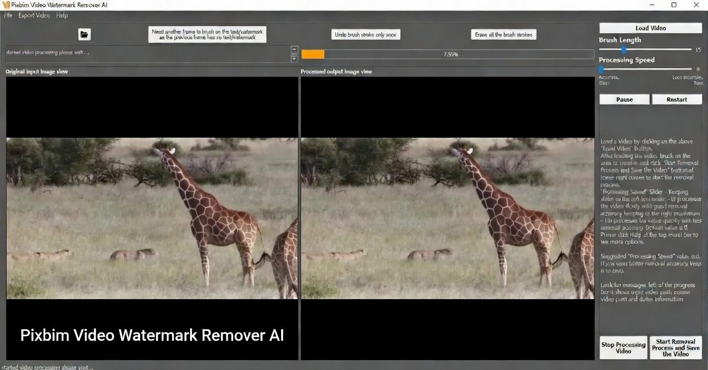 What Makes Pixbim Video Watermark Remover AI Special?