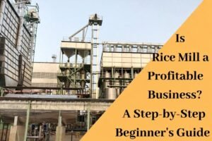 Is Rice Mill a Profitable Business? A Step-by-Step Beginner’s Guide