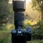 Top 5 Best Cameras for Wildlife Photography Under 2000 Dollars Budget in 2026