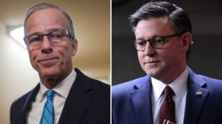 republican shutdown disarray trump johnson thune