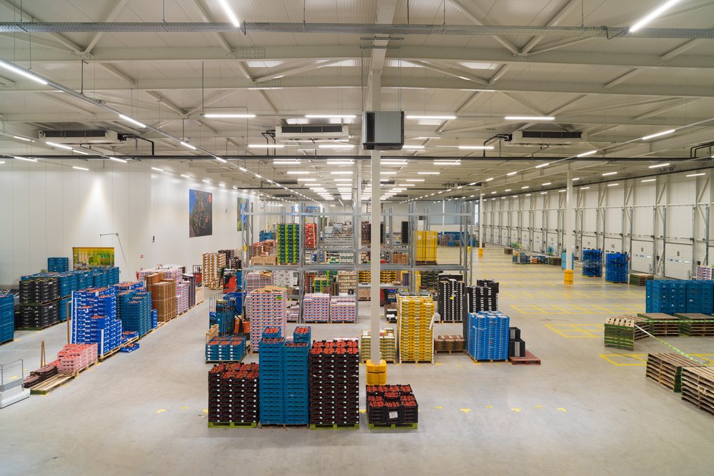 From Richmond to Virginia Beach: How Local Resellers Source Their Stock From Richmond to Virginia Beach: How Local Resellers Source Their Stock